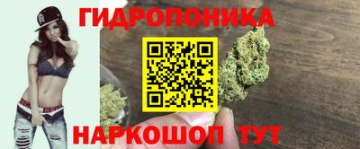 apvp Мариинск