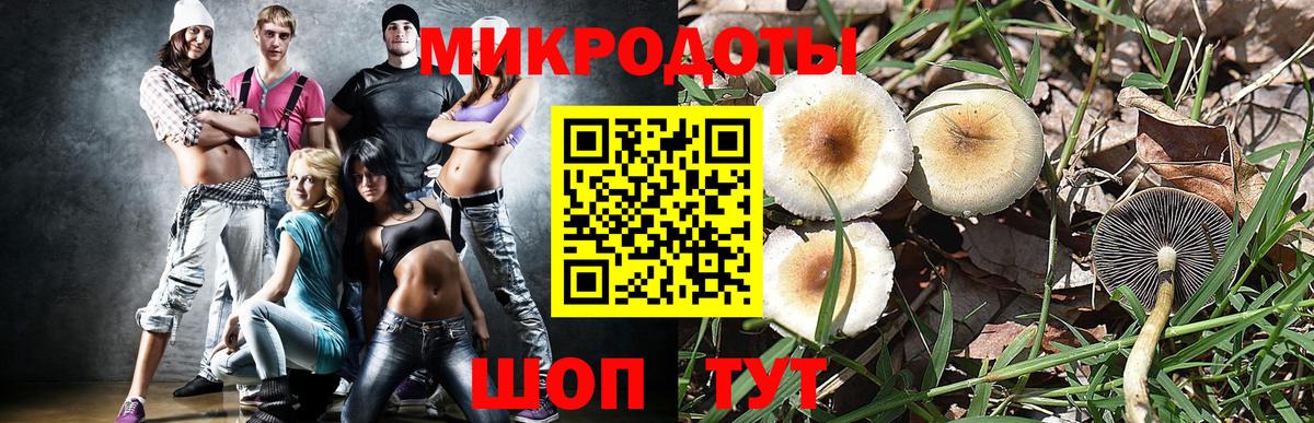 Галлюциногенные грибы ЛСД Гагарин
